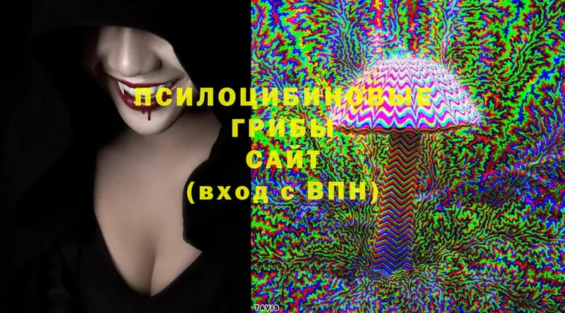 Псилоцибиновые грибы Magic Shrooms  Покровск 