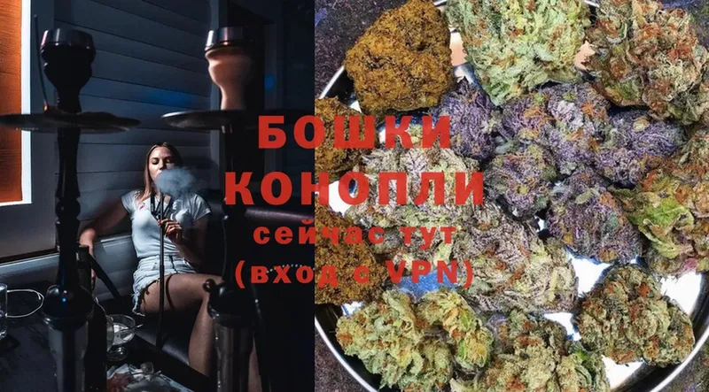 Бошки марихуана LSD WEED  blacksprut ссылка  Покровск 